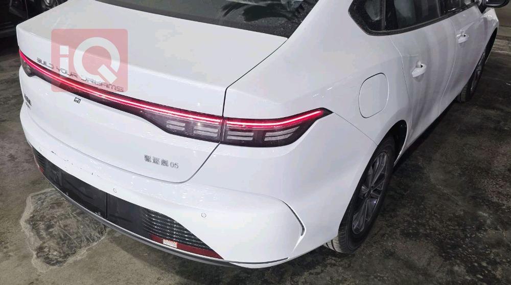 BYD Destroyer 05